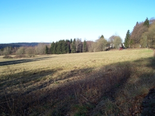 Oberreifenberg Weihnachten 2006, Wiese